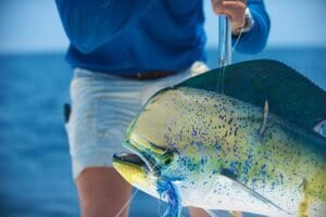 Ocean City Fishing Tournaments