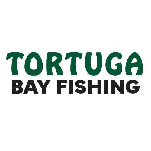 Tortuga Bay Fishing