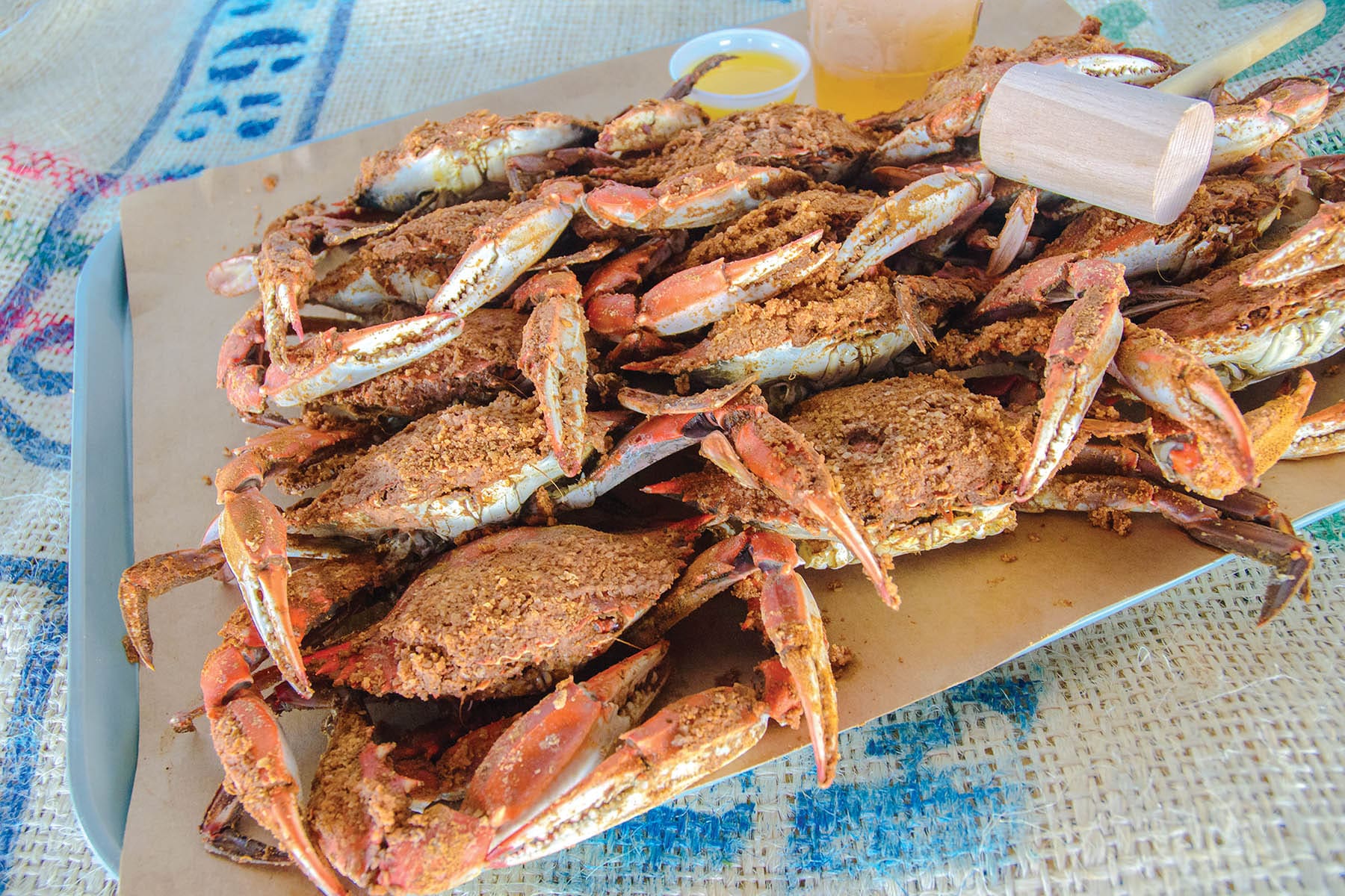 MARYLAND BLUE CRAB